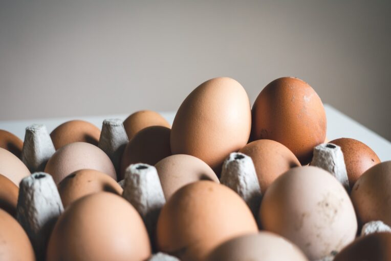 Kebonnixs 12 Egg Incubator