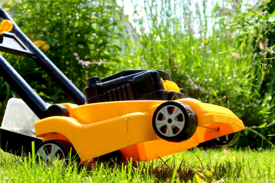 Child Size Real Lawn Mower