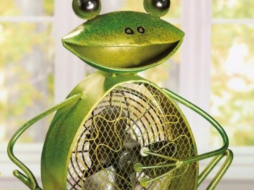 Frog Fan