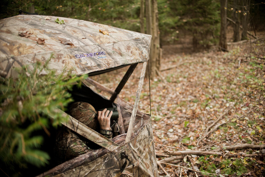 Ground Blind for Bowhunting