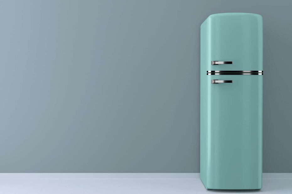 Refrigerator Without Ice Maker