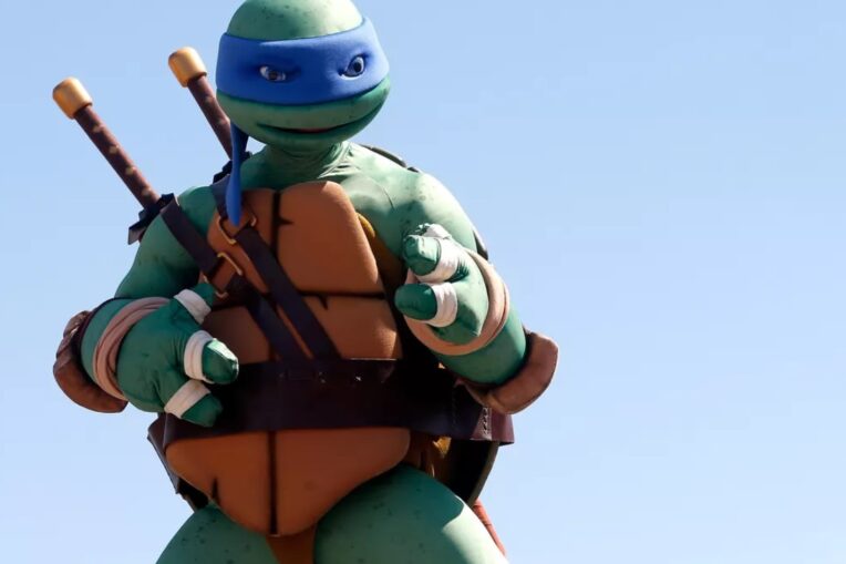 Ninja Turtle Costume for Kid