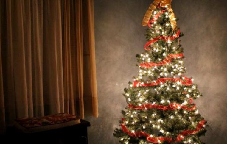 Christmas Tree India