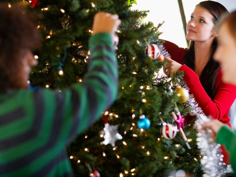 Christmas Tree India