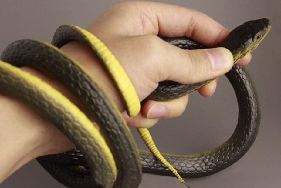 Fake Snakes That Look Real