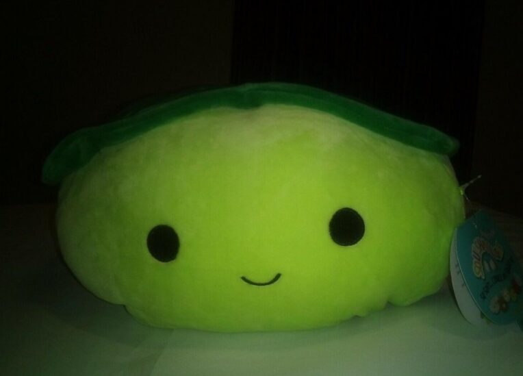Henry the Turtle Squishmallow 16