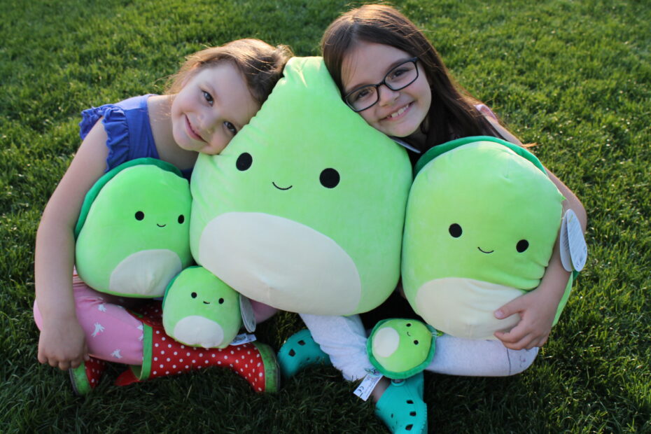 Henry the Turtle Squishmallow 16