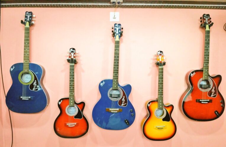 Hovner Guitar