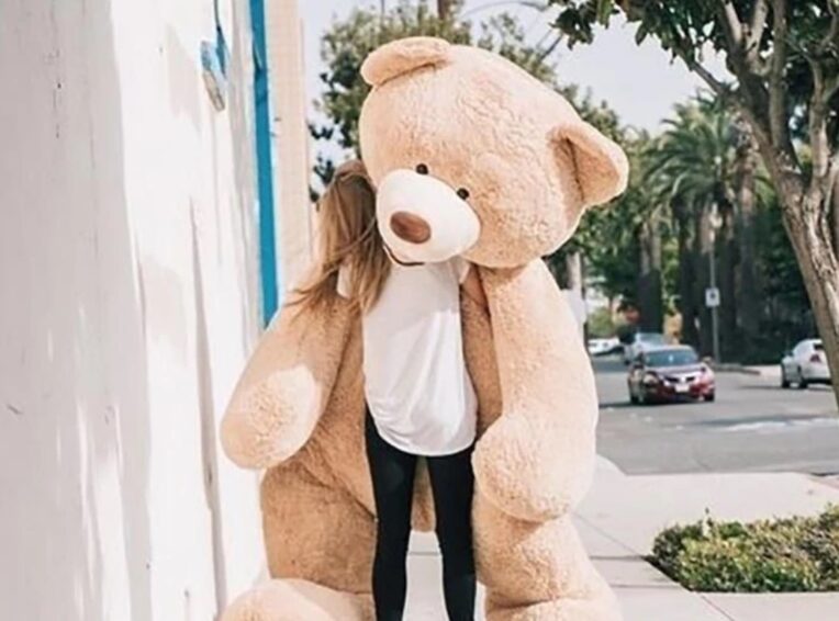 Giant Teddy Bear 6ft