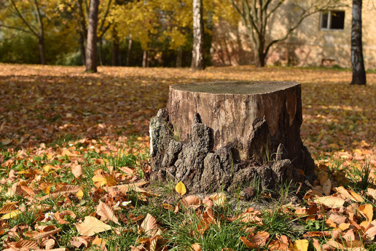 HI-yield Stump Remover