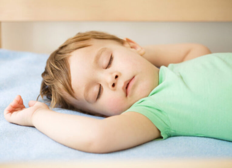 Hi Sprout Nap Mat