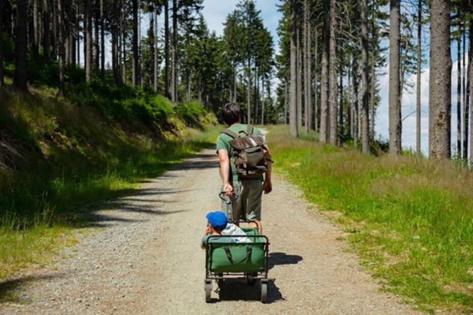 Jeep Deluxe Wrangler Stroller Wagon