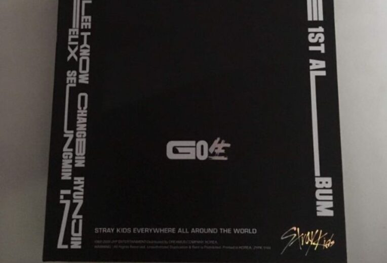 Stray Kids Go Live Limited