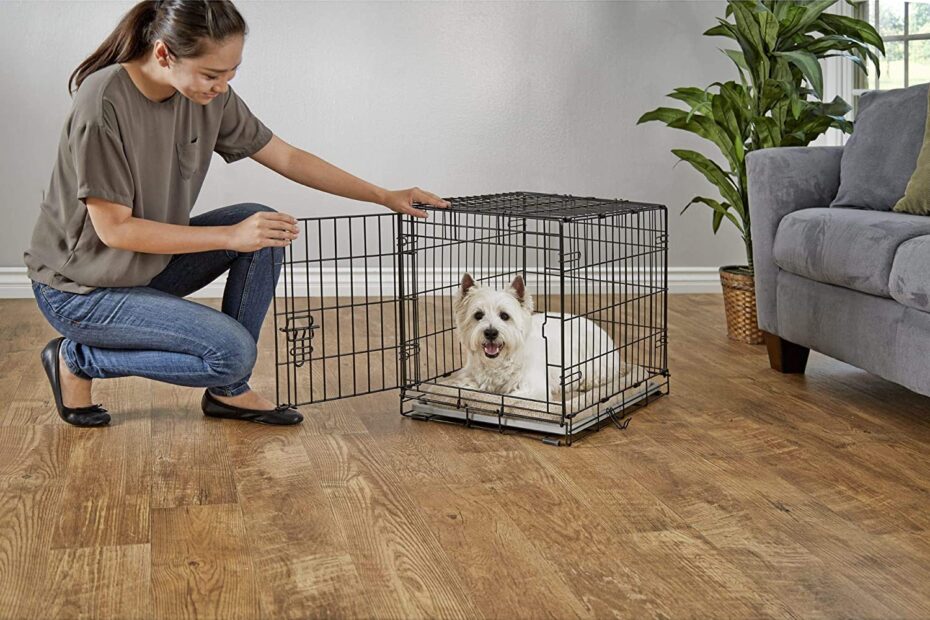 Petco You and Me Crate