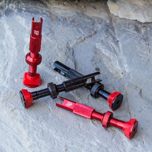 Red Tubeless Presta Valve